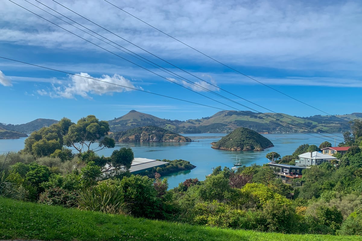 New Zealand - January 2024